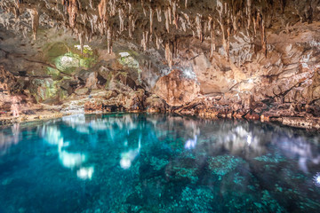 Fototapeta na wymiar Magic Hinagdanan Cave lake in Panglao Island in Bohol, Philippines