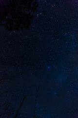 Fototapeta na wymiar starry sky