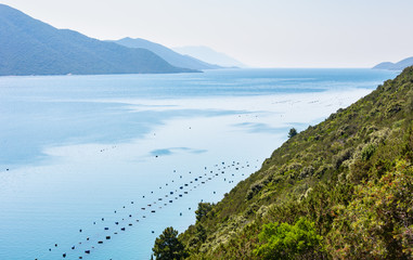 Summer Adriatic sea, Croatia