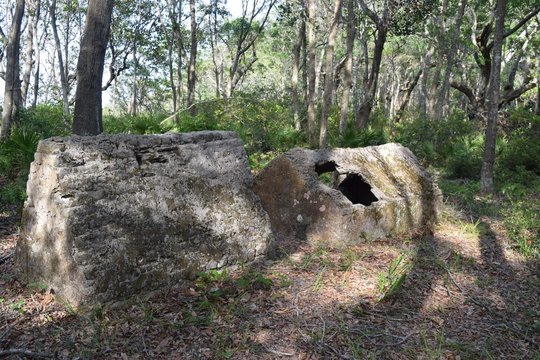 Forest Graves Fort George Island Crypts 1730