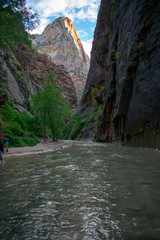 Naklejka premium Zion National Park: The Narrows