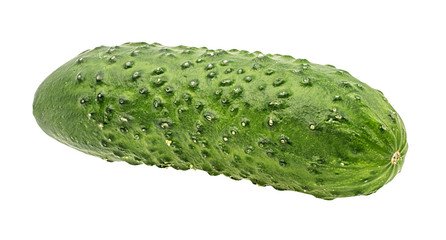 Fresh cucumber isolated on white background with clipping path