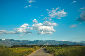 Fototapeta premium Provincial tropical road in Southeast Asia with green rice fields with blue sky