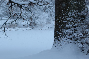 Winterwald