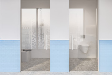 Toilet and shower in white and blue bathroom