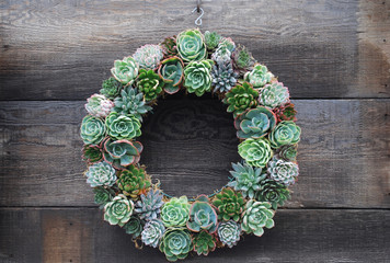 Succulent Wreath
