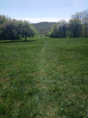 Obraz premium Krimea