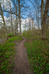 Obraz premium country gravel road with old and broken asphalt