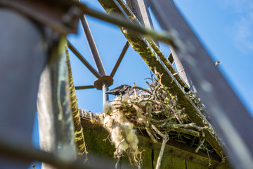 watchtower details and wooden bars, stairs and walls from below up