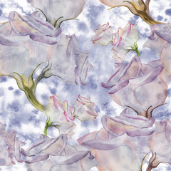 Eustoma - flowers. Watercolor. Decorative composition. Seamless background graphic. White flowers on watercolor background. Use printed materials, signs, items, websites, packaging, decoration.