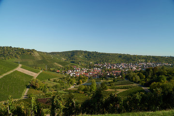 Fototapeta na wymiar Village in the vineyards