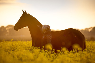 Reiterin und Pferd stehen im Rapsfeld im Sonnenuntergang