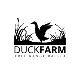 duck or goose with grass savannah vector logo illustration