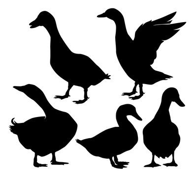duck or goose black silhouette isolated simple vector illustration