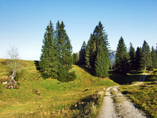 Autumn pastures and hills on the plateau beneath the mountain ranges Churfirsten - Canton of St....
