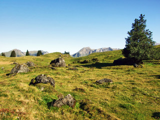 Autumn pastures and hills on the plateau beneath the mountain ranges Churfirsten - Canton of St....