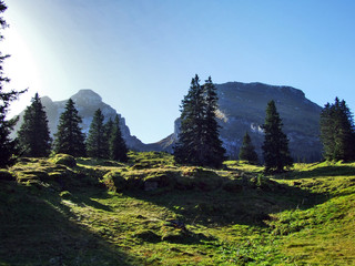 Autumn pastures and hills on the plateau beneath the mountain ranges Churfirsten - Canton of St....