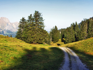 Autumn pastures and hills on the plateau beneath the mountain ranges Churfirsten - Canton of St....