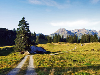 Autumn pastures and hills on the plateau beneath the mountain ranges Churfirsten - Canton of St....