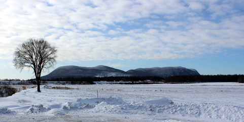 Winter Landscape with Mont-St-Hilaire in Quebec
