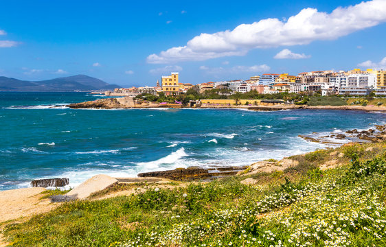 Mediterranean seacoast in Alghero city, Sardinia, Italy. Spring flowers and trees on foreground, colourful buildings of Alghero old city center on background