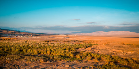 Oasis Antofagasta desierto