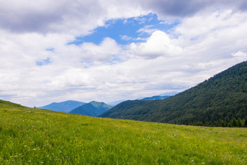 Green mountain meadow with a mountain range, Slovakia