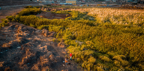 Oasis Antofagasta desierto