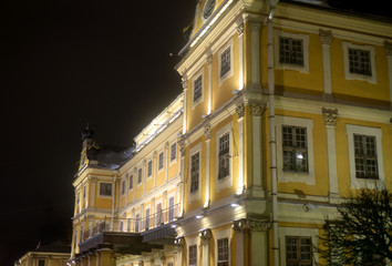 The Menshikov Palace in Saint Petersburg.