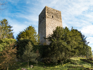 Burg Tosters, Feldkirch