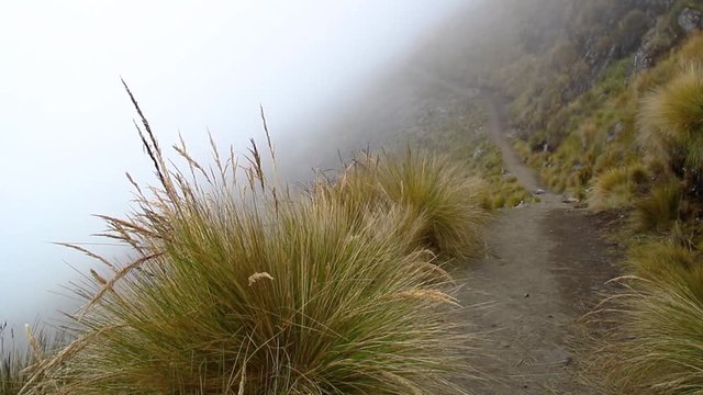 Mysterious view of the rural road surrounded by a dense fog in the Andean peaks.