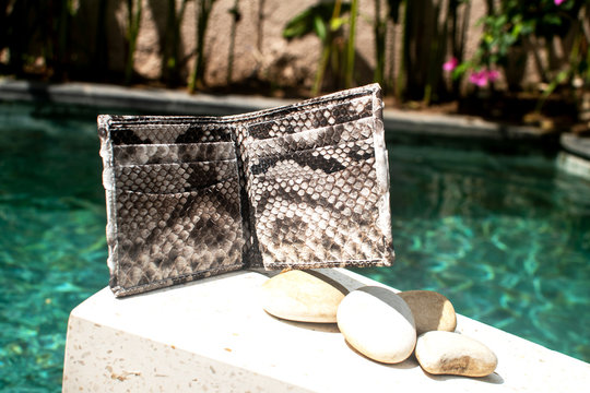 Modern accessories on pool background. Leather snakeskin python wallet. Fashionable nature python. For man and woman. inside of the wallet purse. Open Emty, free place for text or your logo