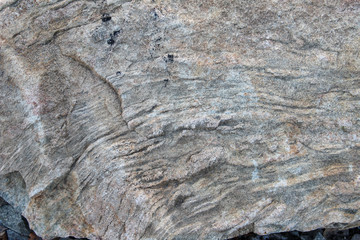 fossil rock