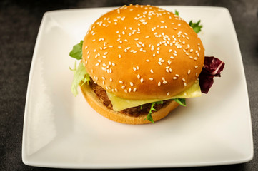hamburger - fast but not very healthy food