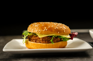 hamburger - fast but not very healthy food