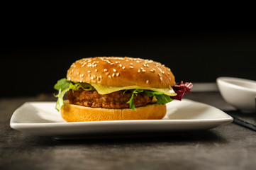 hamburger - fast but not very healthy food