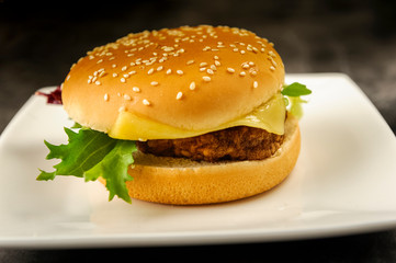 hamburger - fast but not very healthy food