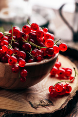 Fresh picked red currants