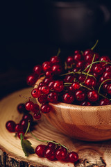 Fresh picked red currants