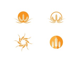 wheat Logo Template