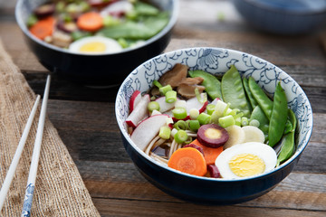 Vegetable and Egg Udon Noodle Soup