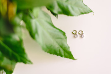 Silver earrings on isolated white background, with leaves of decoration plants.