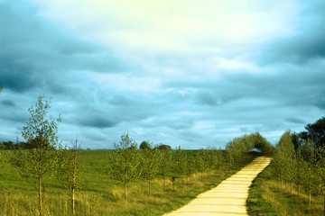 Beautiful yellow sand lane in countryside, green meadow on blue sky with clouds just before the rain