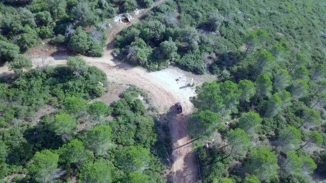 Buggy in a green forest - Top down aerial footage following the buggy along the trail.