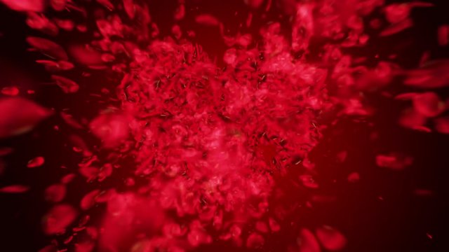 Valentine`s Day animation, Heart made of rose petals