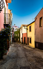 Bosa