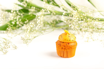 Cupcake flavored tea with cream cheese on isolated white background.
