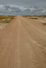 Dirt Lane