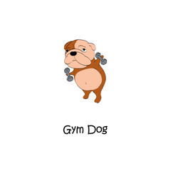 Gym dogs
