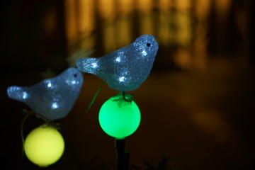 イルミネーションと鳥